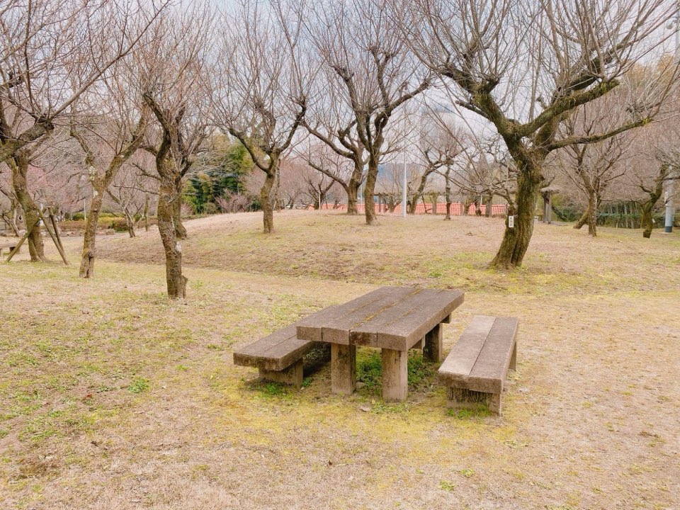 谷尾崎梅林公園