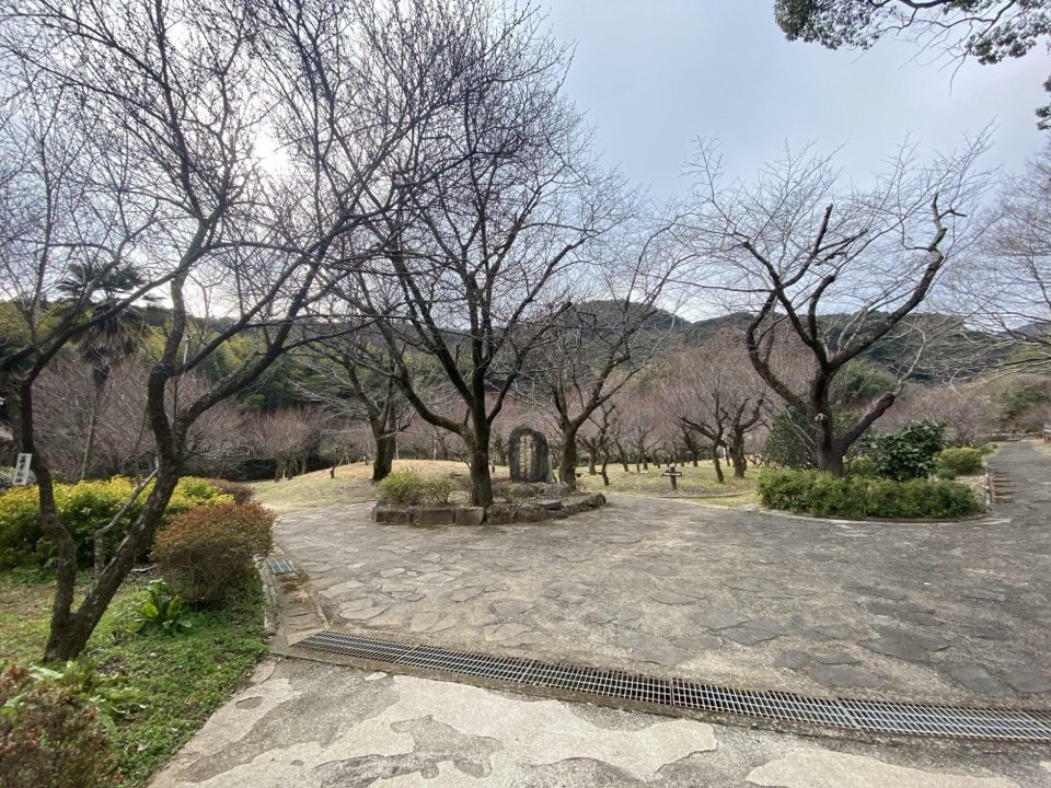 谷尾崎梅林公園